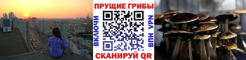 Псилоцибиновые грибы мухоморы  Купить закладки  Иннополис 